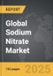 Sodium Nitrate - Global Strategic Business Report - Product Thumbnail Image