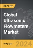 Ultrasonic Flowmeters - Global Strategic Business Report- Product Image