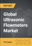 Ultrasonic Flowmeters - Global Strategic Business Report- Product Image