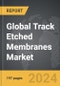 Track Etched Membranes - Global Strategic Business Report - Product Thumbnail Image