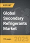 Secondary Refrigerants - Global Strategic Business Report - Product Image