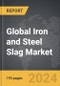 Iron and Steel Slag: Global Strategic Business Report - Product Thumbnail Image