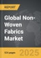 Non-Woven Fabrics - Global Strategic Business Report - Product Thumbnail Image