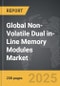 Non-Volatile Dual In-line Memory Modules (NVDIMM) - Global Strategic Business Report - Product Thumbnail Image