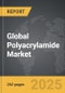 Polyacrylamide - Global Strategic Business Report - Product Image