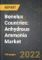 Benelux Countries: Anhydrous Ammonia Market and the Impact of COVID-19 in the Medium Term - Product Image
