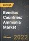 Benelux Countries: Ammonia Market and the Impact of COVID-19 in the Medium Term - Product Thumbnail Image