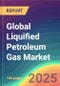 Global Liquified Petroleum Gas (LPG) Market: Plant Capacity, Demand & Supply, Sales Channel, Competition, Customer & Price Intelligence Market Analysis, 2015-2030 - Product Image