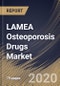 LAMEA Osteoporosis Drugs Market By Route of Administration, By Drug Class, By Country, Industry Analysis and Forecast, 2020 - 2026 - Product Thumbnail Image