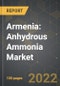 Armenia: Anhydrous Ammonia Market and the Impact of COVID-19 in the Medium Term - Product Thumbnail Image
