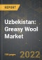Uzbekistan: Greasy Wool Market and the Impact of COVID-19 in the Medium Term - Product Thumbnail Image