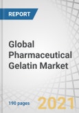 Global Pharmaceutical Gelatin Market by Source (Porcine, Bovine Skin, Bovine Bone, Fish, Poultry), Application (Hard Capsule, Soft Capsule, Tablet, Absorbable Hemostat), Function (Stabilizing, Thickening, Gelling), and Region - Forecast to 2027- Product Image