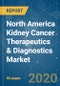 North America Kidney Cancer Therapeutics & Diagnostics Market - Growth, Trends, and Forecasts (2020 - 2025) - Product Thumbnail Image
