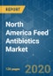North America Feed Antibiotics Market - Growth, Trends and Forecast (2020 - 2025) - Product Thumbnail Image