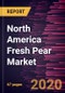 North America Fresh Pear Market Forecast to 2027 - COVID-19 Impact and Regional Analysis By Fruit Type (Green Anjou, Red Anjou, Bartlett, Red Bartlett, Bosc, Concorde, Seckel, Comice, Forelle, Starkrimson, and Others) - Product Thumbnail Image