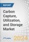 Carbon Capture, Utilization, and Storage Market by Service (Capture, Transportation, Utilization, Storage), Technology (Chemical Looping, Solvents & Sorbent, Membranes), End-Use Industry, and Region - Forecast to 2030 - Product Thumbnail Image