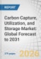 Carbon Capture, Utilization, and Storage Market: Global Forecast to 2031 - Product Thumbnail Image