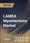 LAMEA Myomectomy Market By Type (Abdominal Myomectomy, Hysteroscopic Myomectomy and Laparoscopic Myomectomy), By Product (Harmonic Scalpel, Laparoscopic Sealer, Laparoscopic Power Morcellators and Other Products), By Country, Industry Analysis and Forecast, 2020 - 2026 - Product Thumbnail Image