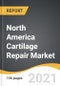 North America Cartilage Repair Market 2021-2028 - Product Thumbnail Image