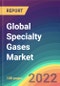 Global Specialty Gases Market Analysis By Application, By Type, By Region, Competition Forecast and Opportunities, 2015-2030 - Product Image