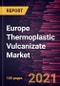 Europe Thermoplastic Vulcanizate Market Forecast to 2027 - COVID-19 Impact and Europe Analysis - By End-Use, and Country - Product Thumbnail Image