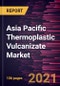 Asia Pacific Thermoplastic Vulcanizate Market Forecast to 2027 - COVID-19 Impact and Asia Pacific Analysis - By End-Use, and Country - Product Thumbnail Image