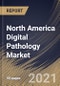 North America Digital Pathology Market By Product, By End Use, By Application, By Country, Industry Analysis and Forecast, 2020 - 2026 - Product Image