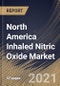 North America Inhaled Nitric Oxide Market By Application (Neonatal Respiratory Treatment, Chronic Obstructive Pulmonary Disease (COPD), Acute Respiratory Distress Syndrome (ARDS) and Other Applications), By Country, Industry Analysis and Forecast, 2020 - - Product Thumbnail Image