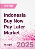 Indonesia Buy Now Pay Later Business and Investment Opportunities Databook - 75+ KPIs on BNPL Market Size, End-Use Sectors, Market Share, Product Analysis, Business Model, Demographics - Q1 2024 Update- Product Image