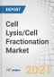 Cell Lysis/Cell Fractionation Market by Product (Consumables (Enzymes, Detergent), Instruments (Sonicators)), Cell Type (Mammalian), Application (Protein Purification), End User (Biopharmaceutical & Biotechnology Companies) - Global Forecast to 2026 - Product Thumbnail Image