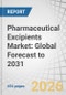 Pharmaceutical Excipients Market: Global Forecast to 2031 - Product Thumbnail Image
