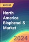North America Bisphenol S Market Analysis Plant Capacity, Production, Operating Efficiency, Technology, Demand & Supply, End-User Industries, Distribution Channel, Regional Demand, 2015-2030 - Product Image