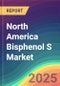 North America Bisphenol S Market Analysis Plant Capacity, Production, Operating Efficiency, Technology, Demand & Supply, End-User Industries, Distribution Channel, Regional Demand, 2015-2030 - Product Image