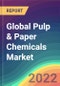 Global Pulp & Paper Chemicals Market Analysis: Plant capacity, Production, Operating Efficiency, Process, Technology, Demand & Supply, End Use, Sales Channel, Region, Competition, Trade, Customer, and Price Intelligence Market Analysis (2015-2030) - Product Image