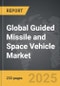 Guided Missile and Space Vehicle: Global Strategic Business Report - Product Image