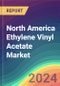 North America Ethylene Vinyl Acetate (EVA) Market Analysis Plant Capacity, Production, Operating Efficiency, Technology, Demand & Supply, Grade, Application, End Use Regional Demand, 2015-2030 - Product Image