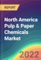 North America Pulp & Paper Chemicals Market Analysis: Plant Capacity, Production, Operating Efficiency, Process, Demand & Supply, End Use, Sales Channel, Region, Competition, Trade, Customer & Price Intelligence Market Analysis, 2015-2030 - Product Image