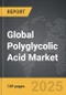 Polyglycolic Acid: Global Strategic Business Report - Product Thumbnail Image