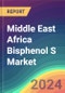 Middle East Africa Bisphenol S Market Analysis Plant Capacity, Production, Operating Efficiency, Technology, Demand & Supply, End-User Industries, Distribution Channel, Regional Demand, 2015-2030 - Product Image