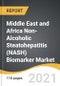 Middle East and Africa Non-Alcoholic Steatohepatitis (NASH) Biomarker Market 2021-2028 - Product Thumbnail Image