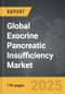 Exocrine Pancreatic Insufficiency: Global Strategic Business Report - Product Thumbnail Image