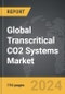 Transcritical CO2 Systems - Global Strategic Business Report - Product Image