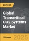 Transcritical CO2 Systems - Global Strategic Business Report - Product Image