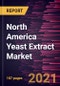 North America Yeast Extract Market Forecast to 2027 - COVID-19 Impact and Regional Analysis By Technology; Form; Application - Product Thumbnail Image