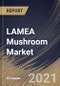 LAMEA Mushroom Market By Type, By Form, By Distribution Channel, By End User, By Country, Growth Potential, Industry Analysis Report and Forecast, 2020 - 2026 - Product Thumbnail Image