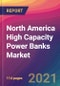 North America High Capacity Power Banks Market Size, Market Share, Application Analysis, Regional Outlook, Growth Trends, Key Players, Competitive Strategies and Forecasts, 2021 to 2029 - Product Thumbnail Image