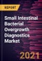 Small Intestinal Bacterial Overgrowth Diagnostics Market Forecast to 2028 - COVID-19 Impact and Global Analysis By Diagnosis; Type, and Geography - Product Thumbnail Image