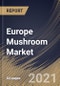 Europe Mushroom Market By Type, By Form, By Distribution Channel, By End User, By Country, Growth Potential, Industry Analysis Report and Forecast, 2020 - 2026 - Product Thumbnail Image