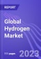 Global Hydrogen Market (by Production Process, Application & Region): Insights & Forecast with Potential Impact of COVID-19 (2022-2026) - Product Thumbnail Image