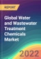 Global Water and Wastewater Treatment Chemicals Market Analysis: Plant Capacity, Production, Operating Efficiency, Technology, Demand & Supply, End-User Industries, Distribution Channel, Regional Demand, 2015-2030 - Product Image
